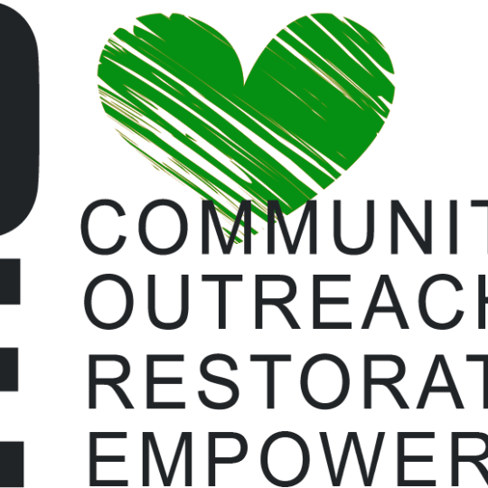 Organization Logo