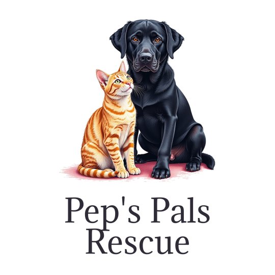 Organization Logo