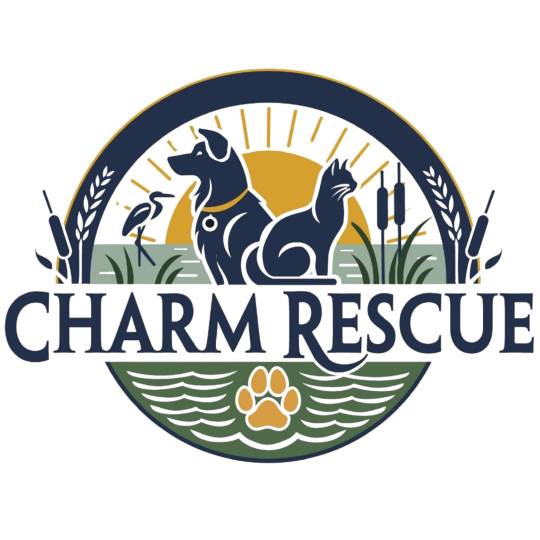 Organization Logo