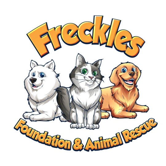 Organization Logo
