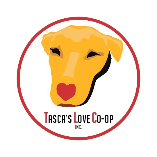 Organization Logo