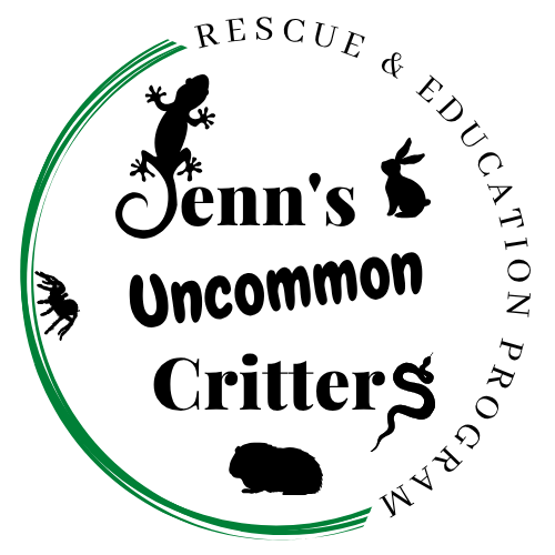 Organization Logo