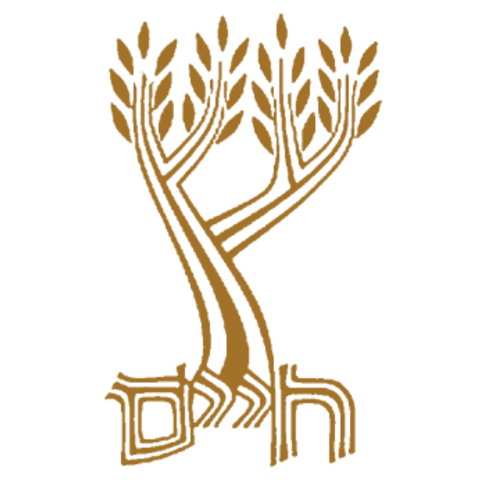 Organization Logo