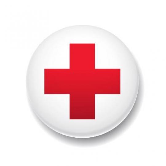 Organization Logo