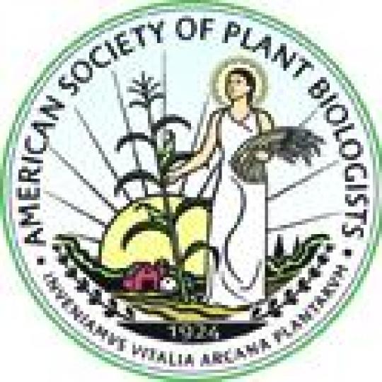 Agency Logo
