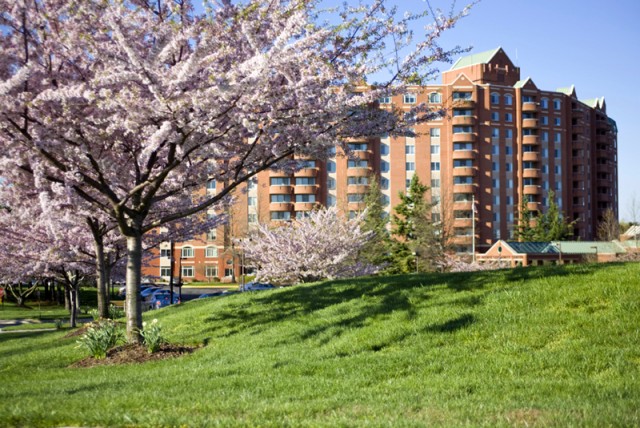 Agency Photo  (95963)