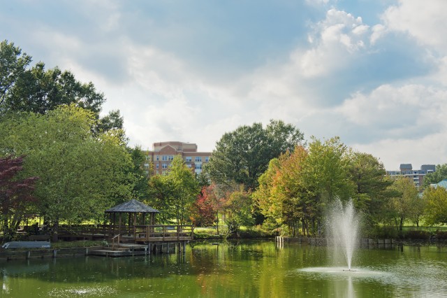 Agency Photo  (95964)