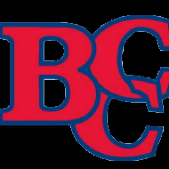 Organization Logo