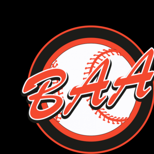 Organization Logo