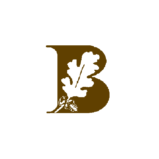 Organization Logo
