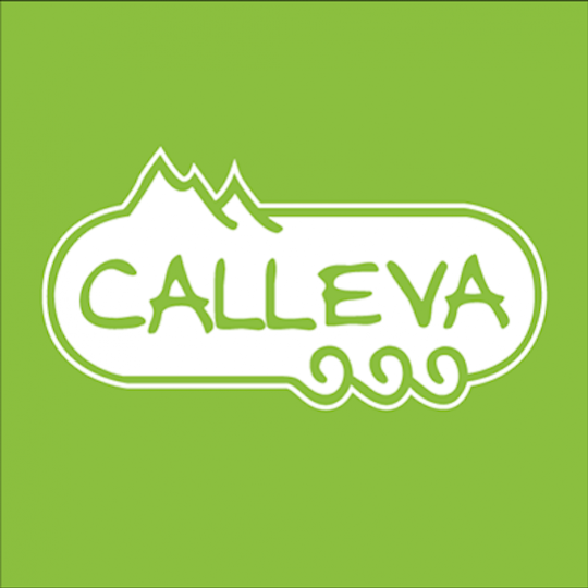 Organization Logo