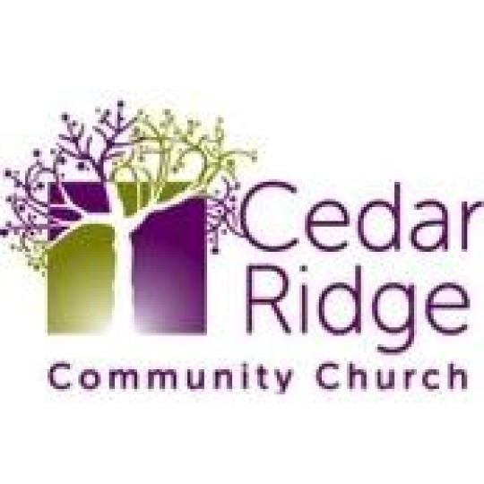 Organization Logo