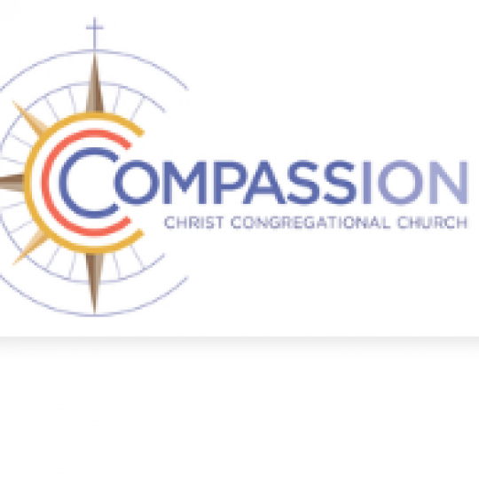 Organization Logo