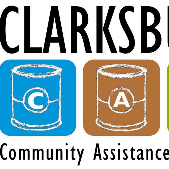 Organization Logo