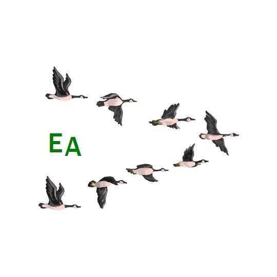 Organization Logo