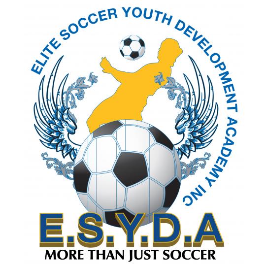 Organization Logo