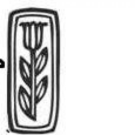 Organization Logo