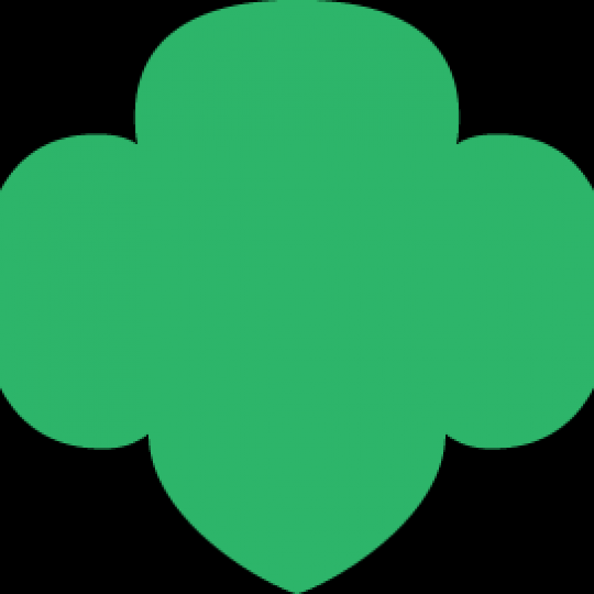 Organization Logo