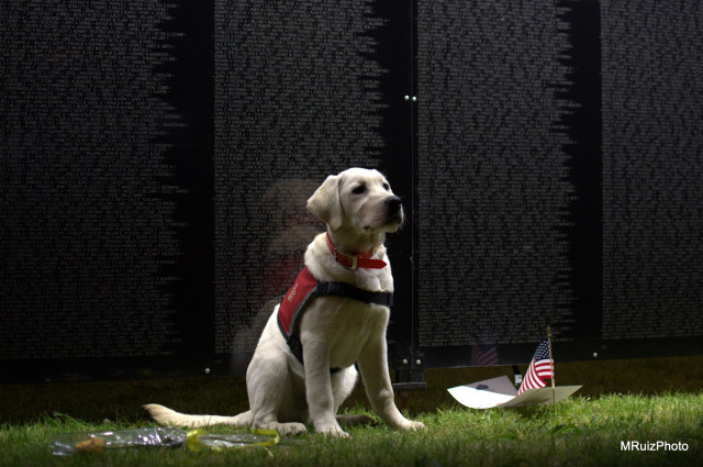 Organization Photo  (133133)