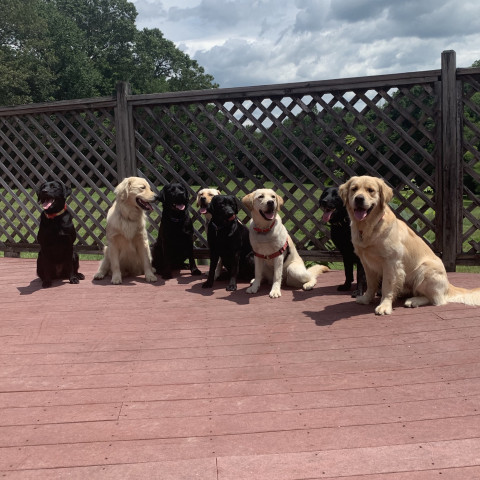 Organization Photo  (133134)