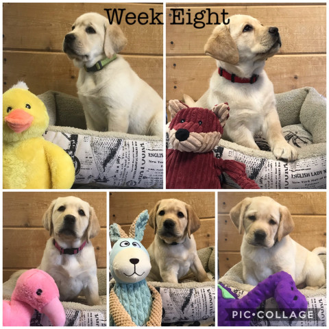 Organization Photo  (133136)