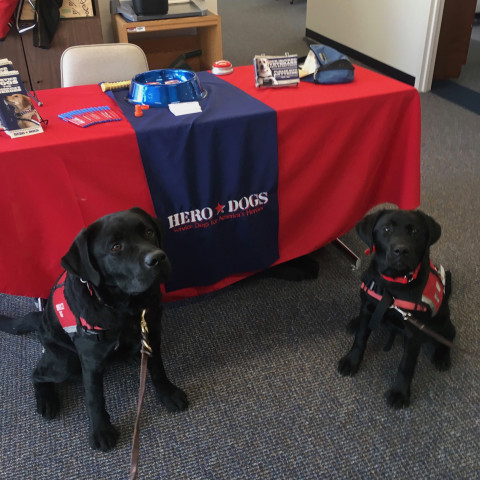 Organization Photo  (133135)