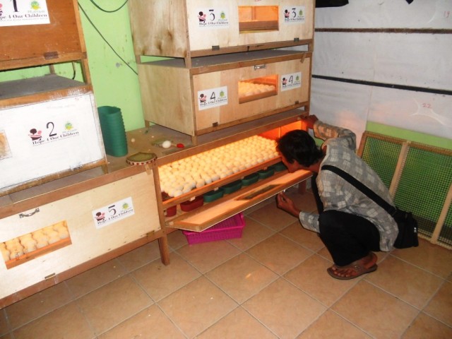 Organization Photo  (114355)
