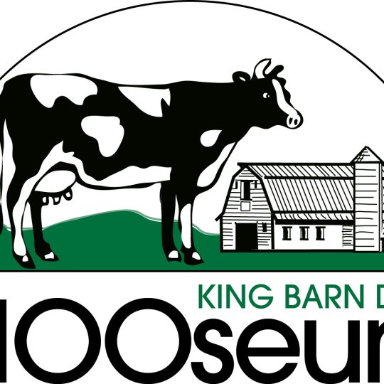 Organization Logo