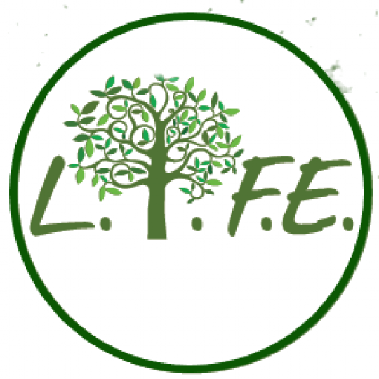 Agency Logo