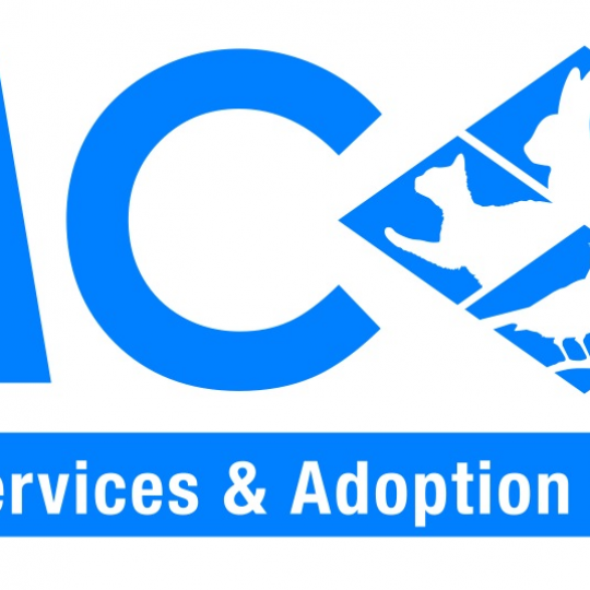 Organization Logo