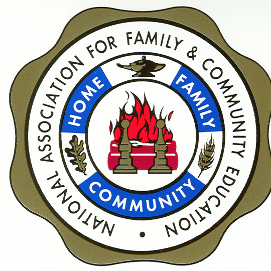 Organization Logo