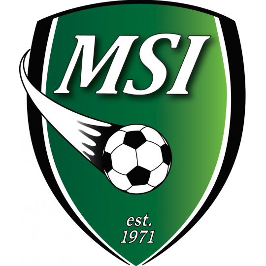 Organization Logo