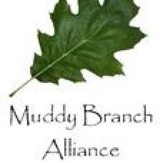 Organization Logo