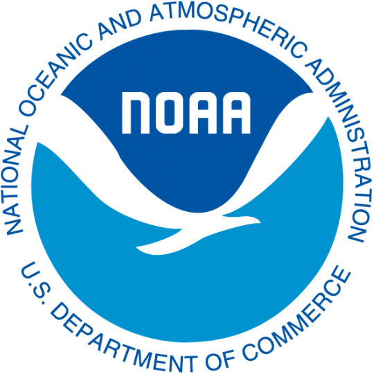 Organization Logo
