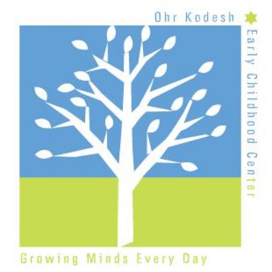 Organization Logo