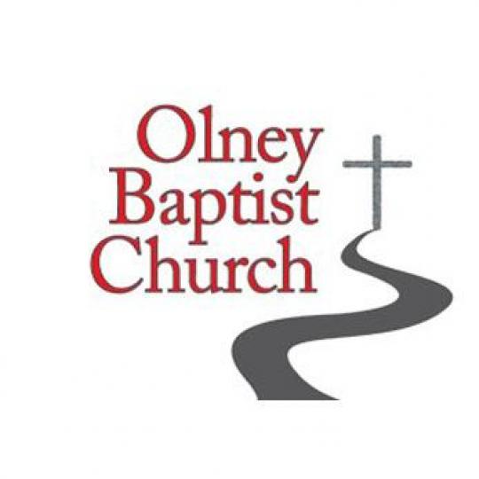 Organization Logo