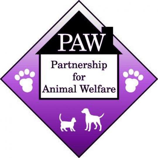 Organization Logo