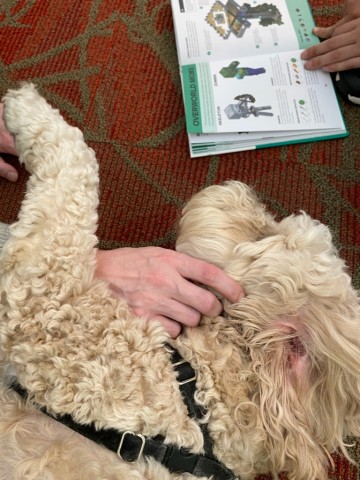 Agency Photo  (197433)