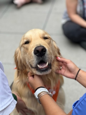 Agency Photo  (197432)