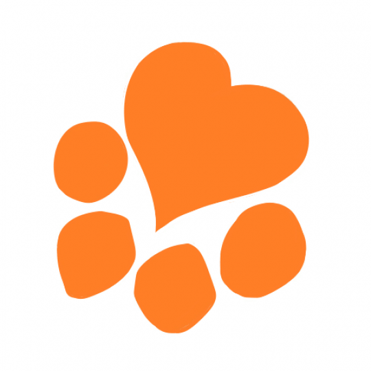 Organization Logo