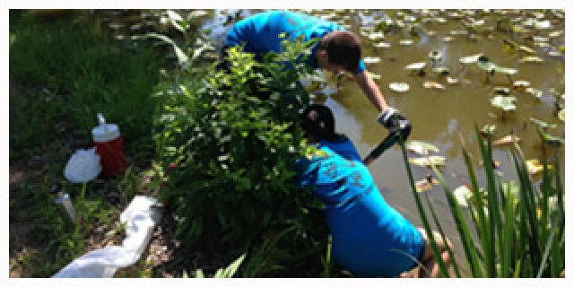 Organization Photo  (147239)