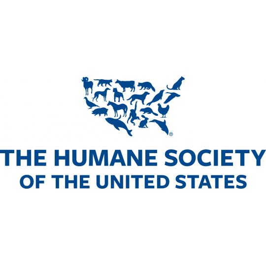 Organization Logo