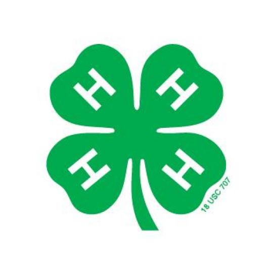 Organization Logo