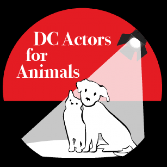 Organization Logo