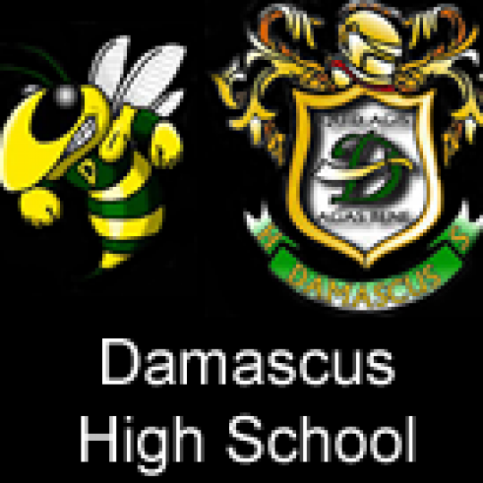 Organization Logo