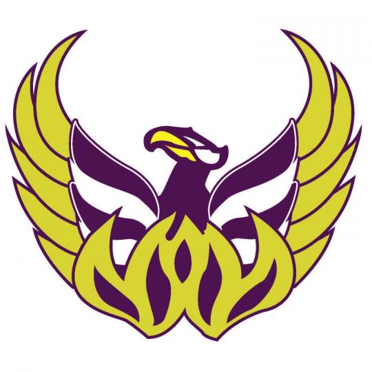 Organization Logo