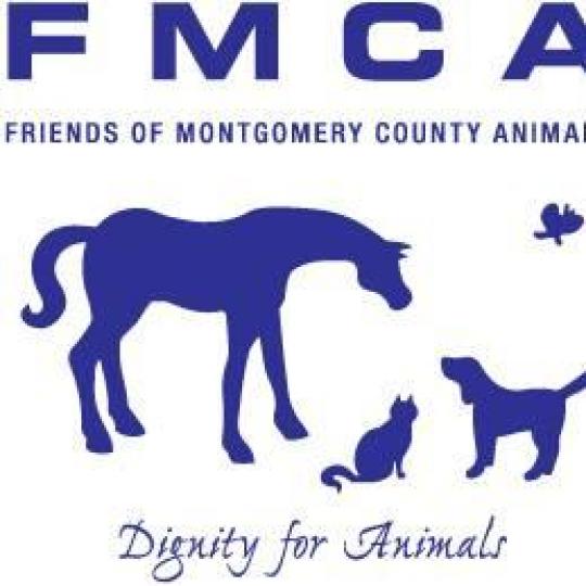 Organization Logo