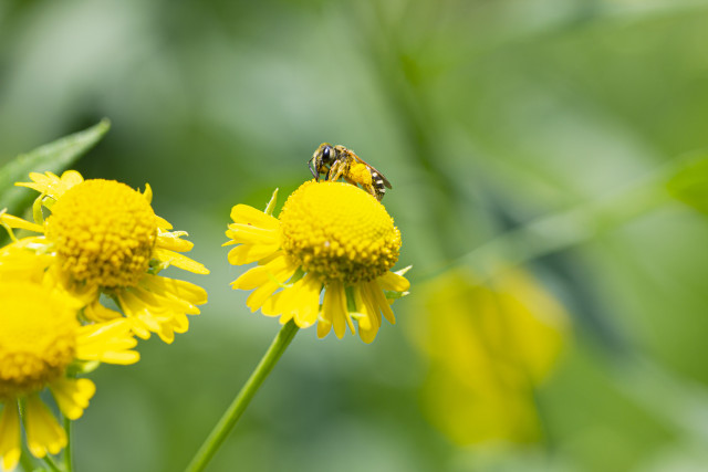 Organization Photo  (143975)