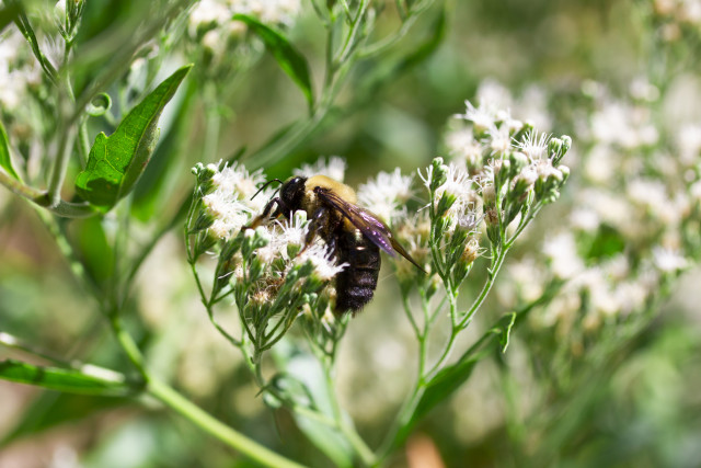 Organization Photo  (143973)