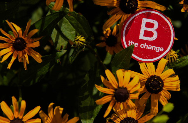 Organization Photo  (143974)